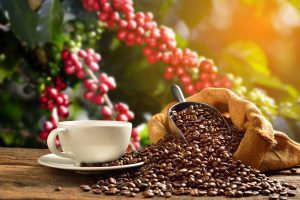 Maxi Kaffee-Probierpaket 5kg