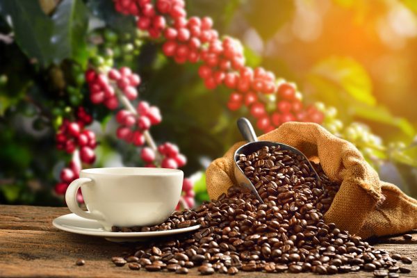 Maxi Kaffee-Probierpaket 5kg